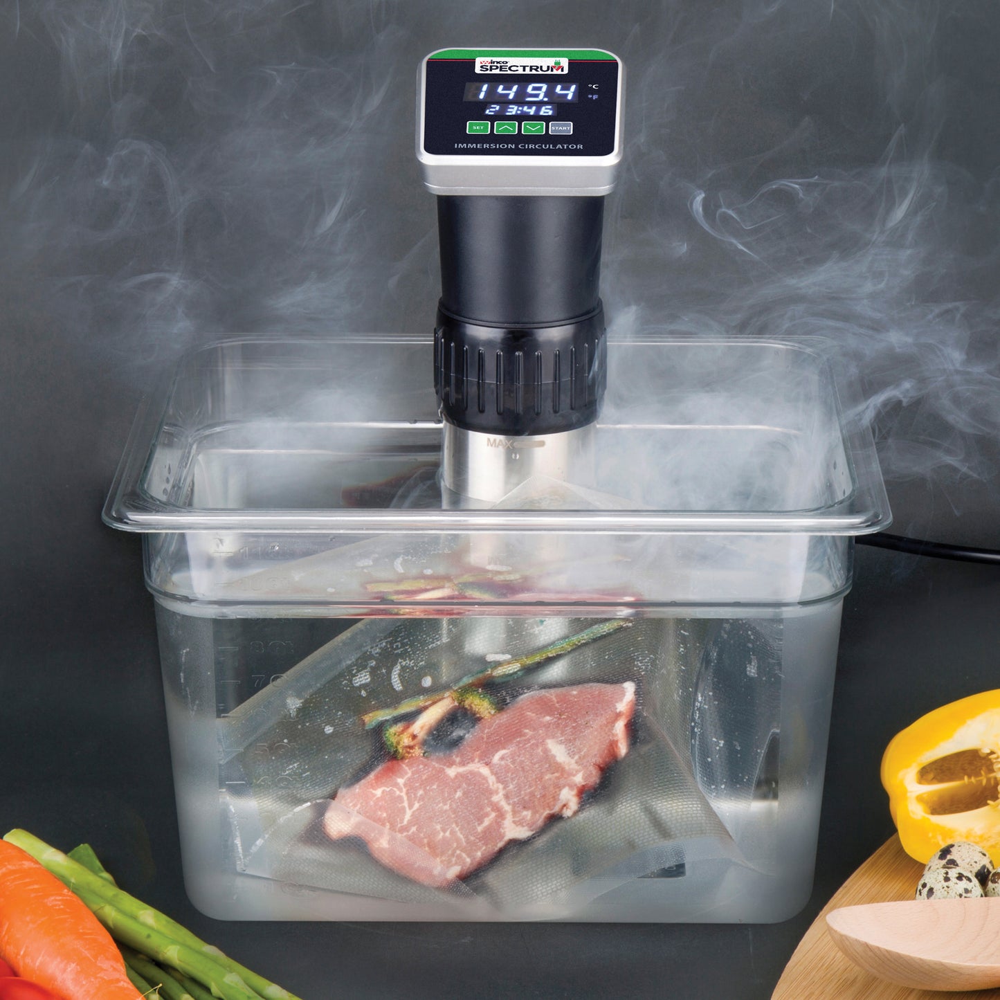 ESVI-1 - Immersion Circulator