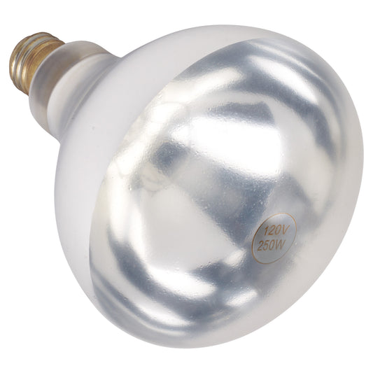 Shatter-Resistant Bulb, 250W, Clear