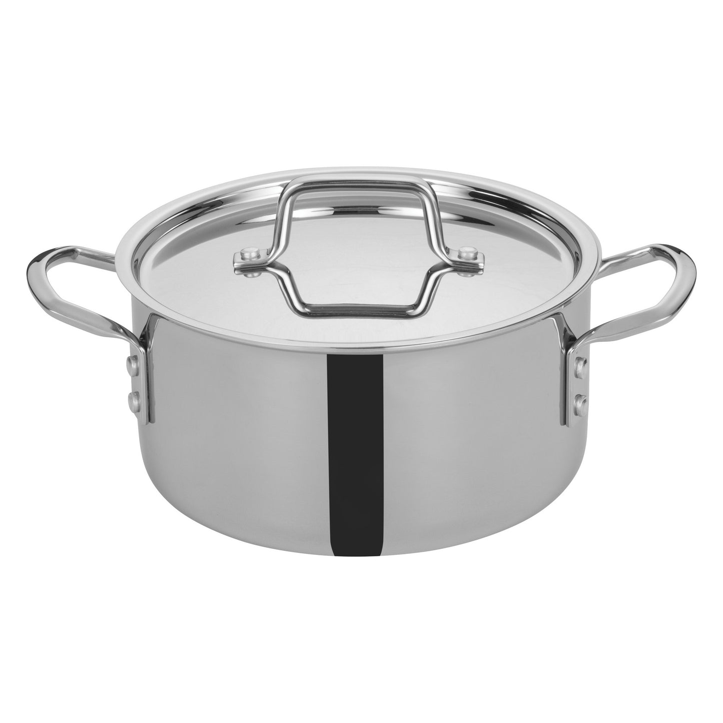 Tri-Gen Tri-Ply Stainless Steel Stock Pot with Cover - 4-1/2 Quart