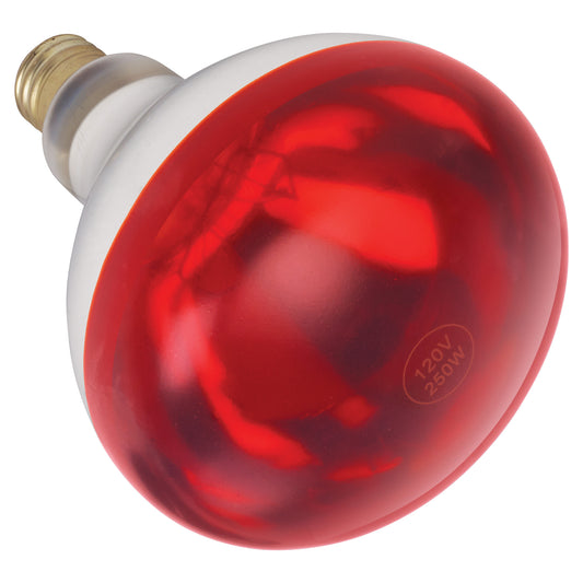 Shatter-Resistant Bulb, 250W, Red